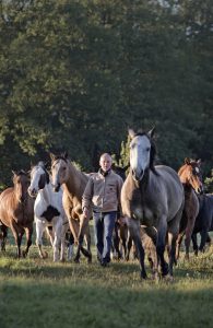 Bernd Osterhammel in seiner Herde Pferde. © Foto: Michael Boyny