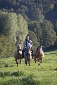 Bernd Osterhammel mit Pferden. © Foto: Michael Boyny