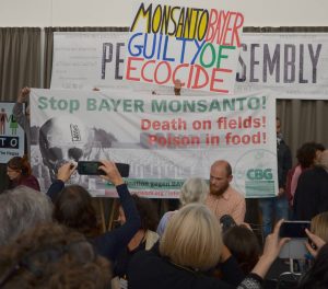Impression vom Monsanto-Tribunal in Den Haag, 2016-10-14. © Foto: Anabel Schnura, 2016