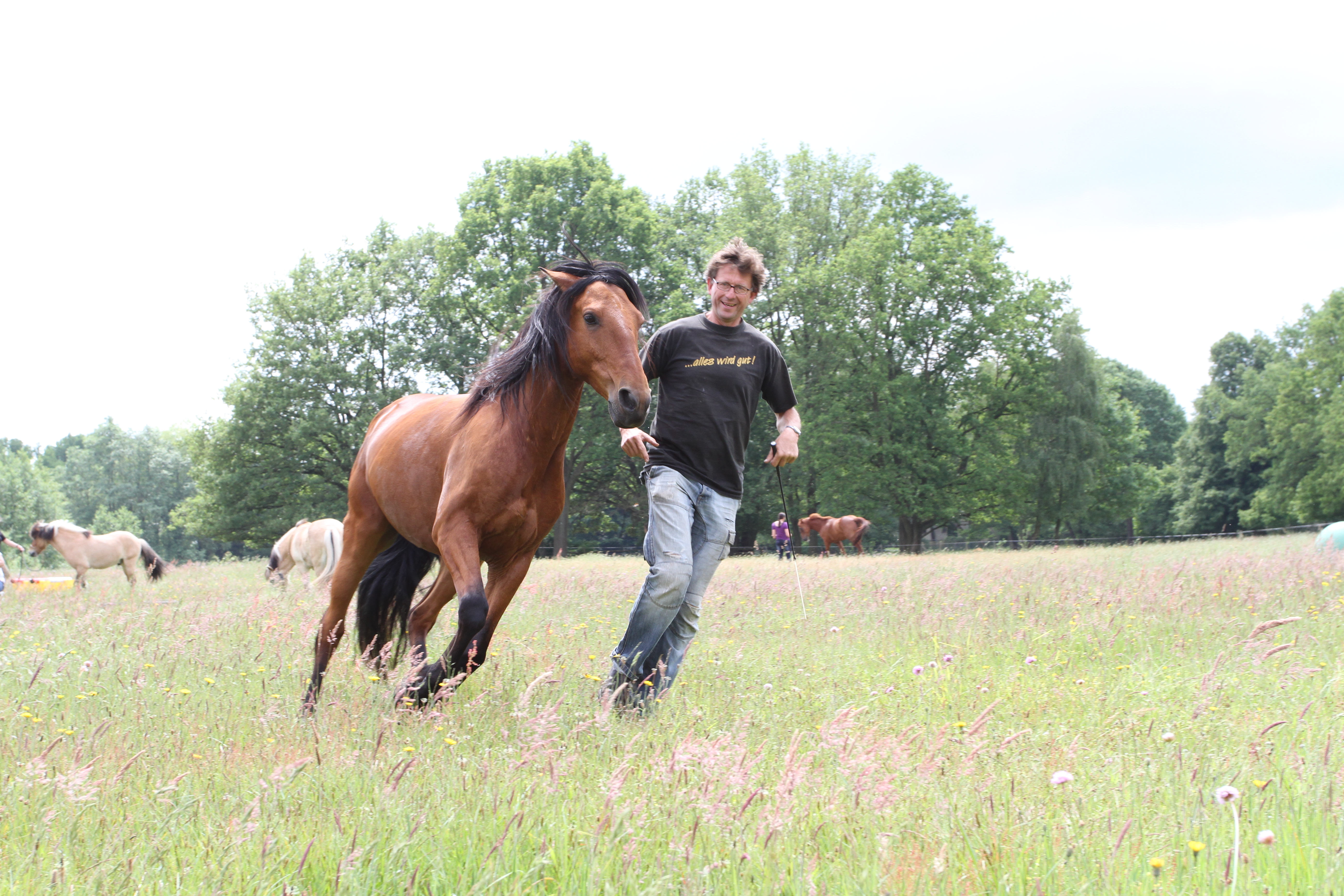 Bewegung ist gesund für Pferd und Mensch , Neu Drefahl, BU Pasche,l, © Weinzierl: Foto: van Uden