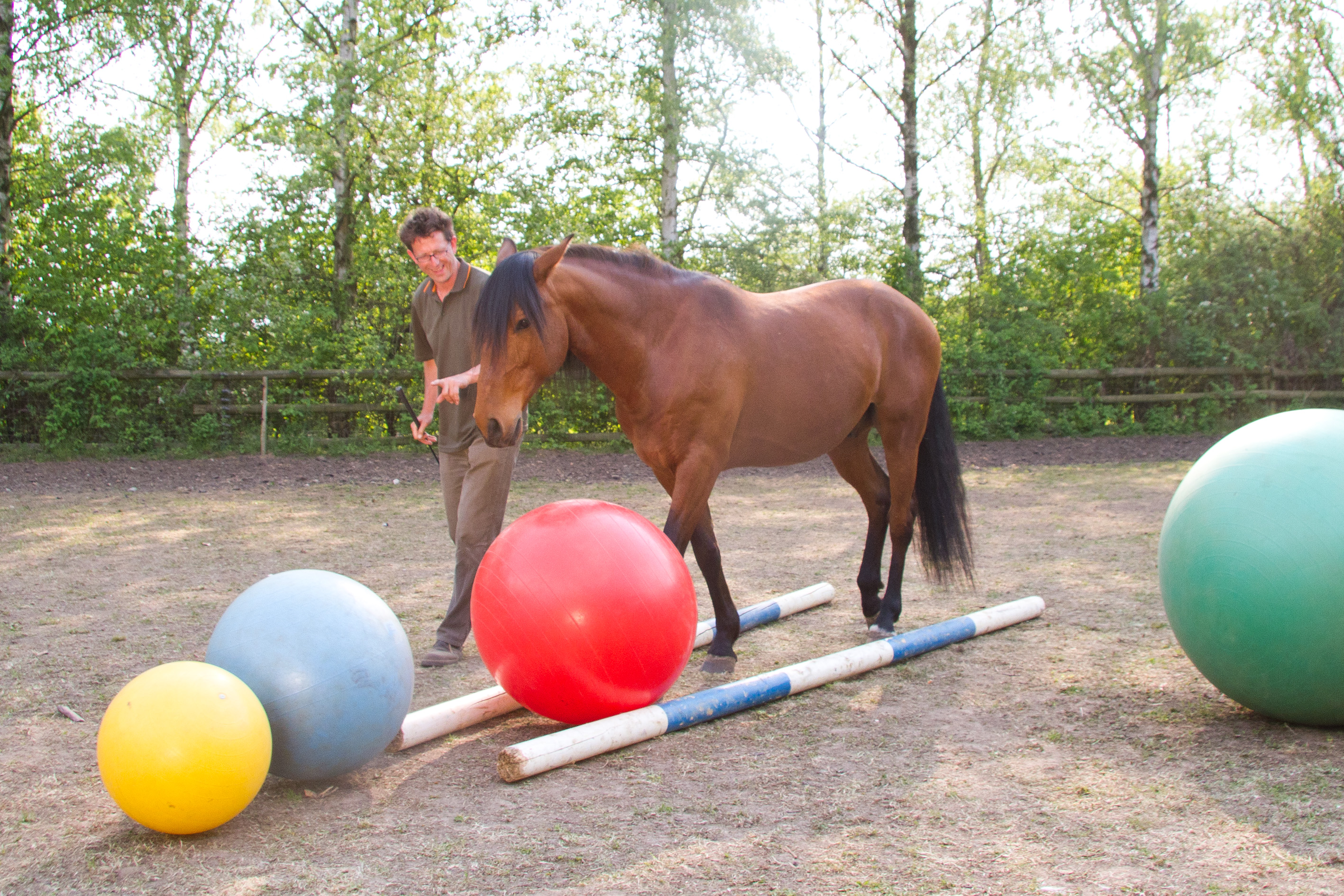 Das Spiel, schafft Abwechselung für Mensch und Pferd, Neu Drefahl, BU Paschel 2011, © Weinzierl, Foto: van Uden