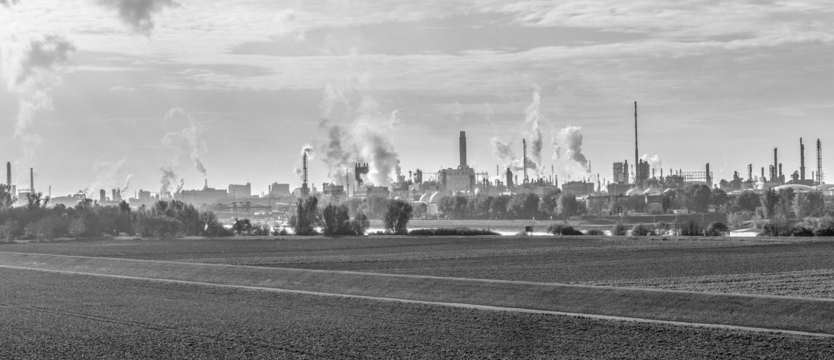 Streit um AfD-Kandidaten – Ludwigshafen und kein Ende…