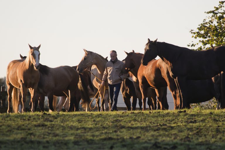 „Manager führen Pferde“ – Bernd Osterhammel im WELTEXPRESS-Exklusivinterview