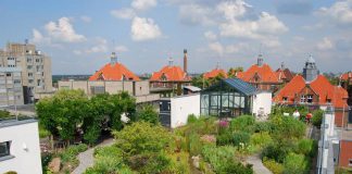 Eine Typfrage: Welcher Garten passt zu mir? Die Entspannungsoase ist so unterschiedlich wie ihre Besitzer