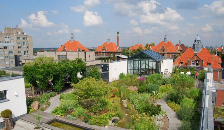 Eine Typfrage: Welcher Garten passt zu mir? Die Entspannungsoase ist so unterschiedlich wie ihre Besitzer