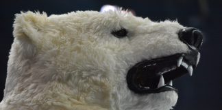 Zwei Klatschen an einem Wochenende – Adler Mannheim ballern und boxen Berliner Eisbären aus der Halle