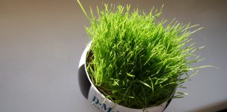 Fragwürdiges Feindbild – RB Leipzigs Aufstieg von Neid und falschen Vorwürfen begleitet