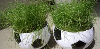 Kader der führenden Kapitalgesellschaften der BRD im Männerfußball können nicht gewinnen Fußball