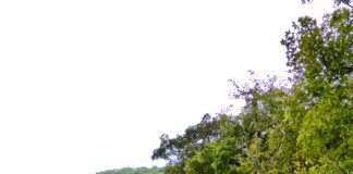 Zur Person: Henno Heintz