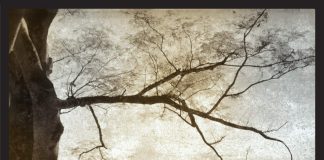 Unterwegs in die Abgründe Amerikas – Annotation zum Buch „Das Dickicht“ von Joe R. Lansdale