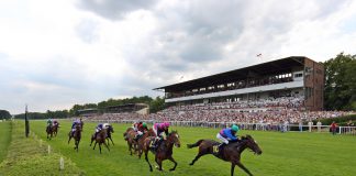 Selbst Galopp-Legende Hein Bollow zeigt sich interessiert – Jockey-Talent Dennis Schiergen ist nun als Profi im Sattel