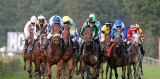 Auf zum „After Work Renntag“ nach Hoppegarten