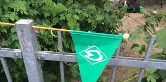 Auswahl der SV Werder Bremen GmbH & Co. KGaA mit Sieg am Samstagnachmittag an der Weser