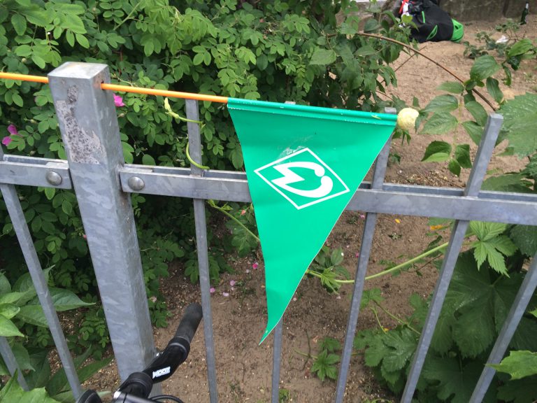 Werder Bremen ballert RB Leipzig aus dem Weserstadion – Die Begegnungen der Männerfußballer in der ersten Bundesliga