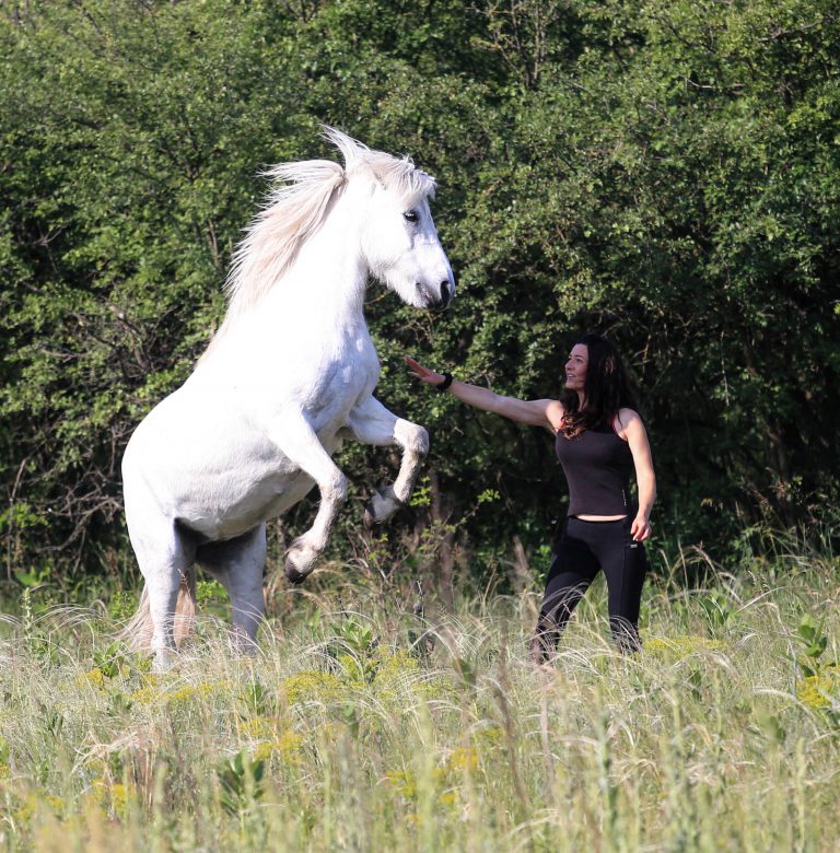 Über „die Alten Meister“ und das Buch „Wo ist die Reitkunst?“ Maksida Vogt im Weltexpress-Exklusivinterview