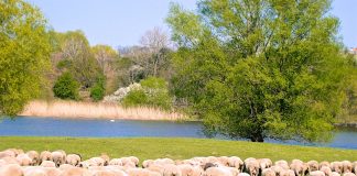 Die Prignitz ist eine Wunder-Welt und ideal für Familien-Radtouren zwischen Elbe, Havel und Müritz