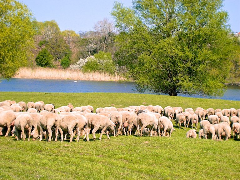 Die Prignitz ist eine Wunder-Welt und ideal für Familien-Radtouren zwischen Elbe, Havel und Müritz