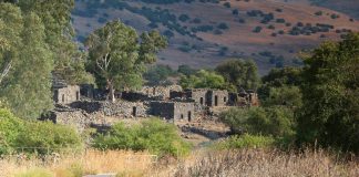 Die Sprache der roten Dächer – Ein Film über die Siedler des Westjordanlandes