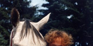 Fotostrecke: Wotan – Vom Hufrollenentzündungstod zum Leben mit Barhufen in der Herde