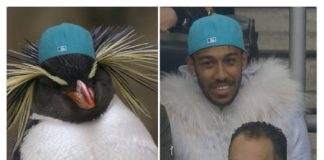 Ein Fußball-Star auf der Tribüne – Verliert Borussia Dortmund nun auch Aubameyang?