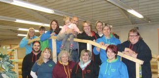 Über das „Wohlergehen der Pferde“ – „Horse Team Work“ im WELTEXPRESS-Exklusivinterview