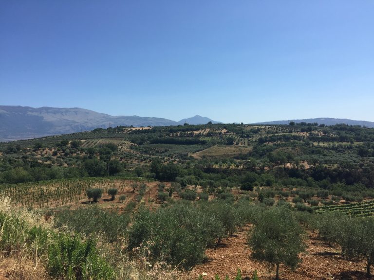 Kalabrien, Weinland der Antike, wächst kraftvoll zur erneuten Bedeutung heran