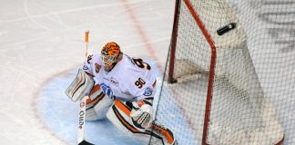 Die Grizzlys aus Wolfsburg holen sich das Heimrecht von den Kölner Haien – Siege für Mannheim, München und Nürnberg