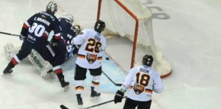 Vor der Playoff-Serie zwischen Eisbären und Braunbären oder Die Grizzlys kommen Eisbären Berlin versus Grizzlys Wolfsburg.