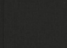 Im Knast mit Erich Mühsam – Der 10. Band der „Tagebücher“ ist erschienen