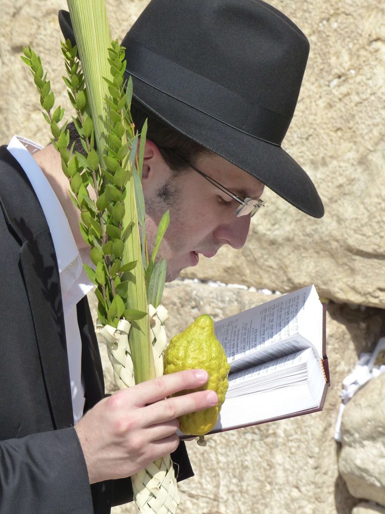 Abe, Isaak und Bibi oder Die Machpelah-Höhle in Hebron