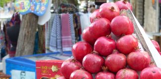 Respekt vor der Grünen Linie