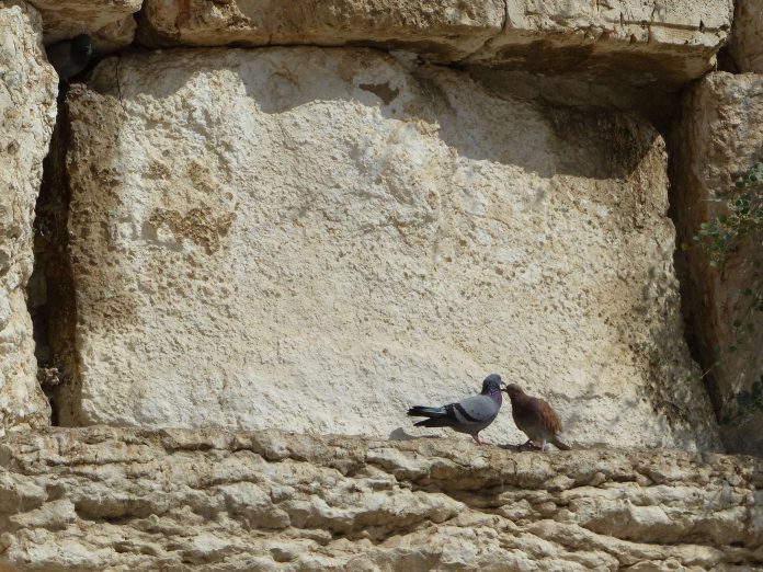 Klagemauer in Jerusalem, Israel.