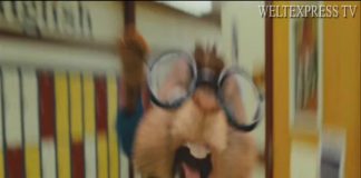 Kritik zu dem Film „Alvin und die Chipmunks 2“