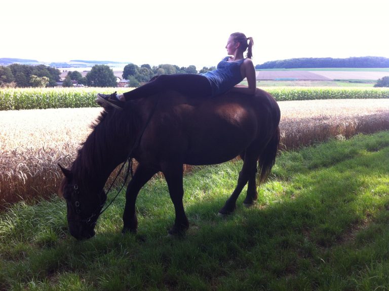 Warum Pferde mit dem Kopf wackeln