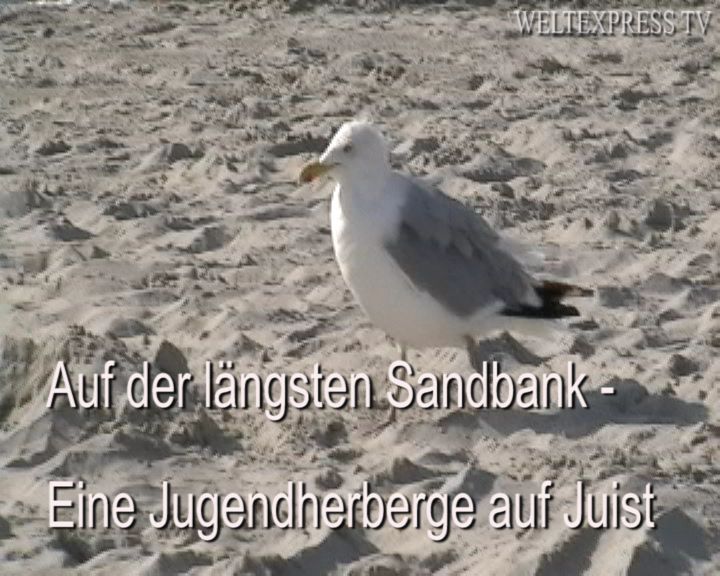Auf der längsten Sandbank – Eine Jugendherberge auf Juist