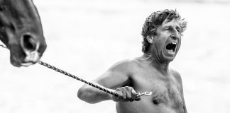 Die Bestimmung des Pferdes ist die Freiheit – Zu Besuch bei Vaclav Vydra in Tschechien