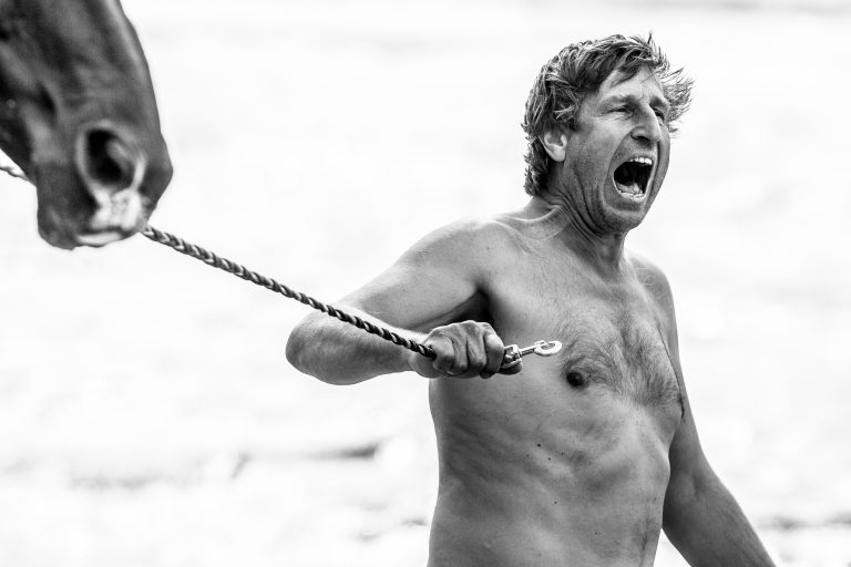 Die Bestimmung des Pferdes ist die Freiheit – Zu Besuch bei Vaclav Vydra in Tschechien