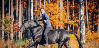 Fotoreportage: Über Jossy Reynvoet und die Kunst des gebisslosen Reitens