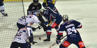 Fotoreportage: Berliner Eisbären gegen Rote Bullen aus München