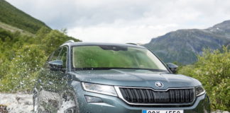 Bei Skoda sind jetzt die Bären los – Der neue Kodiaq ist das erste echte SUV der aufstrebenden Marke