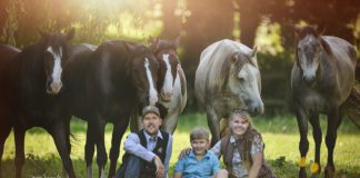 Über das Buch „Sicher & frei Reiten“ von Jenny Wild und Peer Classen