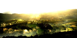 Fotoreportage: AsvaNara – Pferde in ihrer Natürlichkeit AsvaNara Experience