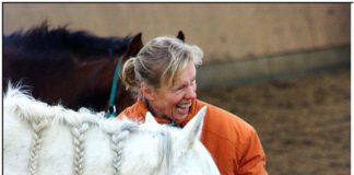 „Tierquälerei in den Landgestüten“ – Die Journalistin und Pferdepsychologin Karola Bady im Weltexpress-Exklusivinterview