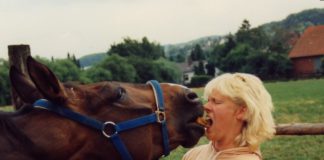 Landgestüt Celle als Auslaufmodell? – Journalistin und Pferdepsychologin Karola Bady im WELTEXPRESS-Exklusivinterview