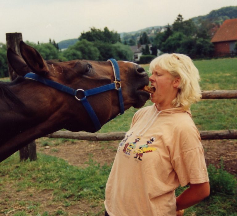 Landgestüt Celle als Auslaufmodell? – Journalistin und Pferdepsychologin Karola Bady im WELTEXPRESS-Exklusivinterview