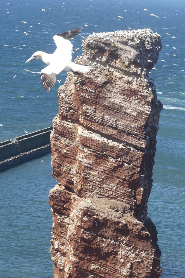 Parade der Pötte auf Elbe und Weser – Die Nordseeküste als Tor zur Welt