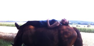 Balancieren und feine Hilfen – Ein Euphemismus im Reitsport?