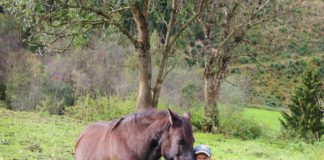 Lisa Spitzer im Weltexpress-Exklusivinterview: Ein „Little Paradise“ für Pferde in der Steiermark Lisa Spitzer