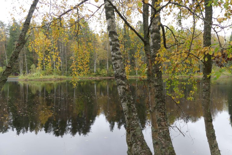 Mit der MS Volga Dream auf Moskwa und Newa.