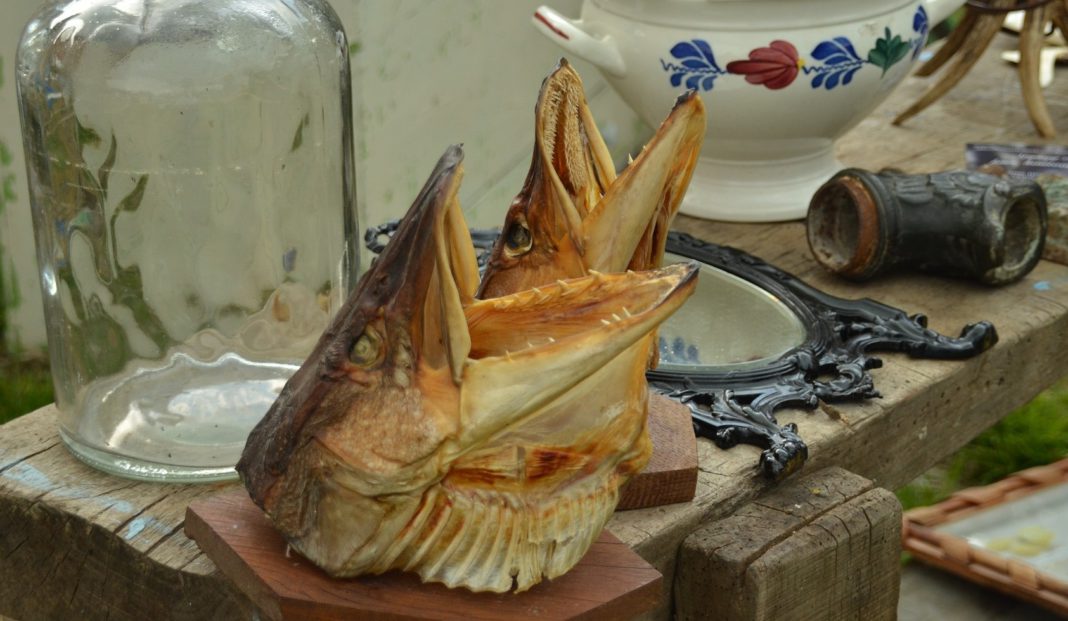 Fischköppe